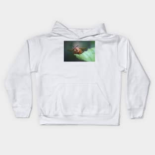 Closeup of a Cicada Killer Kids Hoodie